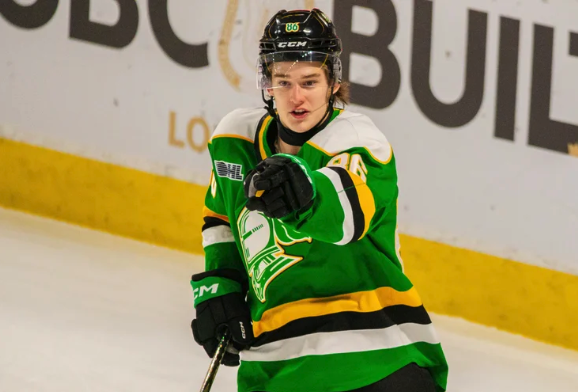 Hockey player